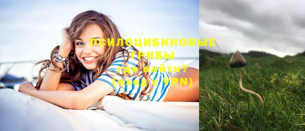 PSILOCYBIN Балабаново