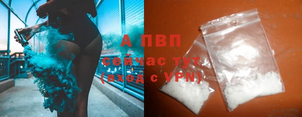PSILOCYBIN Балабаново