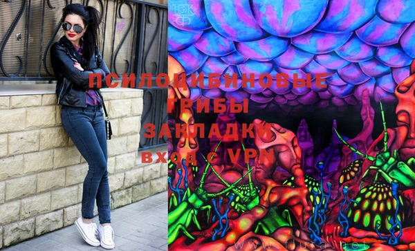 PSILOCYBIN Балабаново