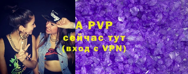 PSILOCYBIN Балабаново