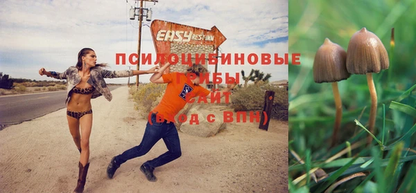дмт Балахна