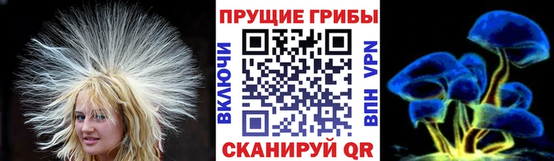 хочу   Высоковск  Псилоцибиновые грибы мицелий 